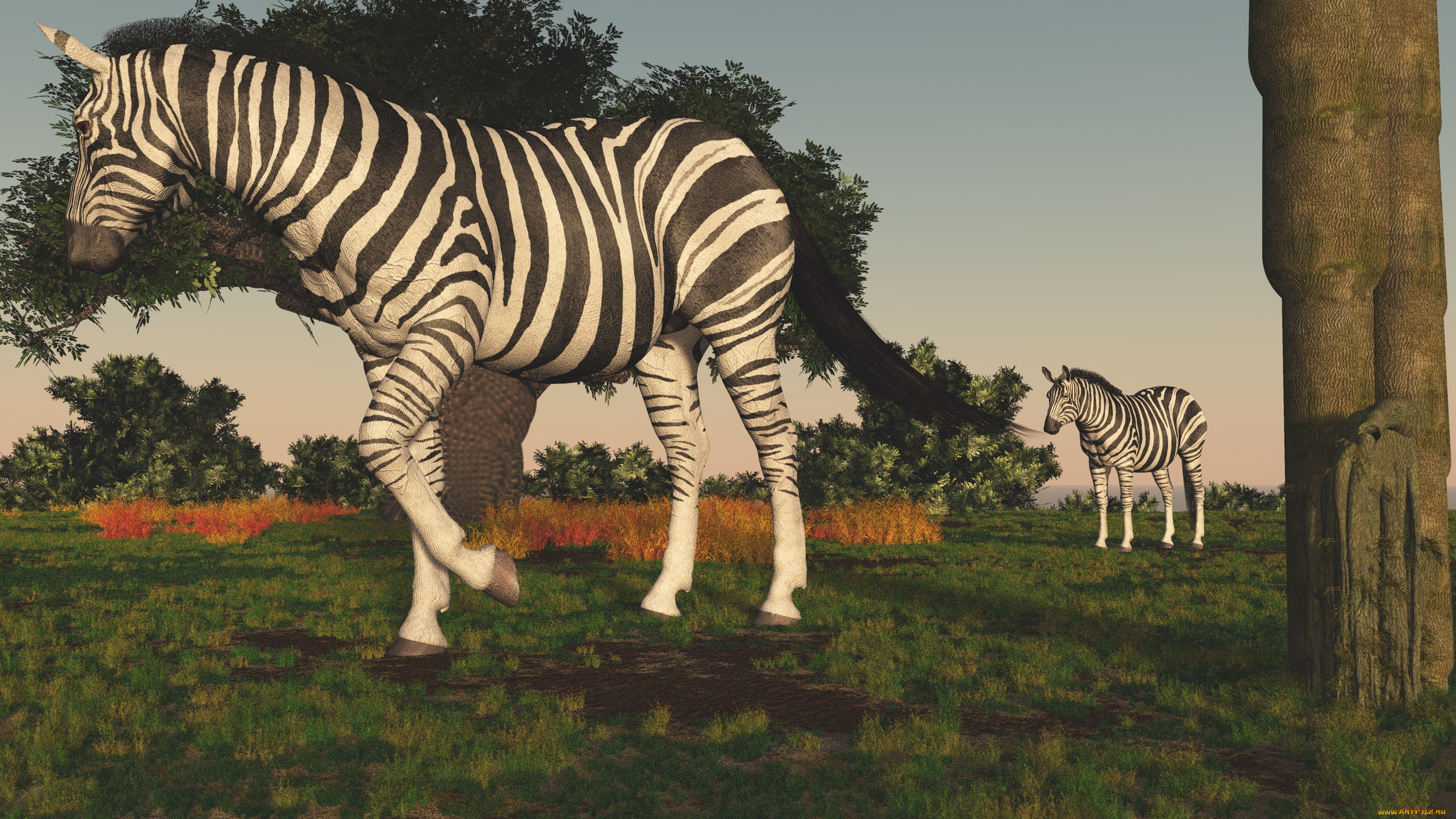 3 ,  , animals, 